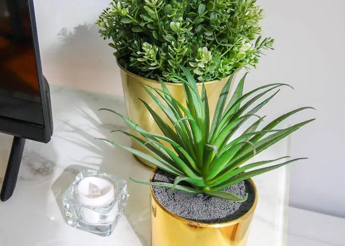 Appartement Aliados Sunny Flat *