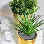 Apartamento Aliados Sunny Flat *